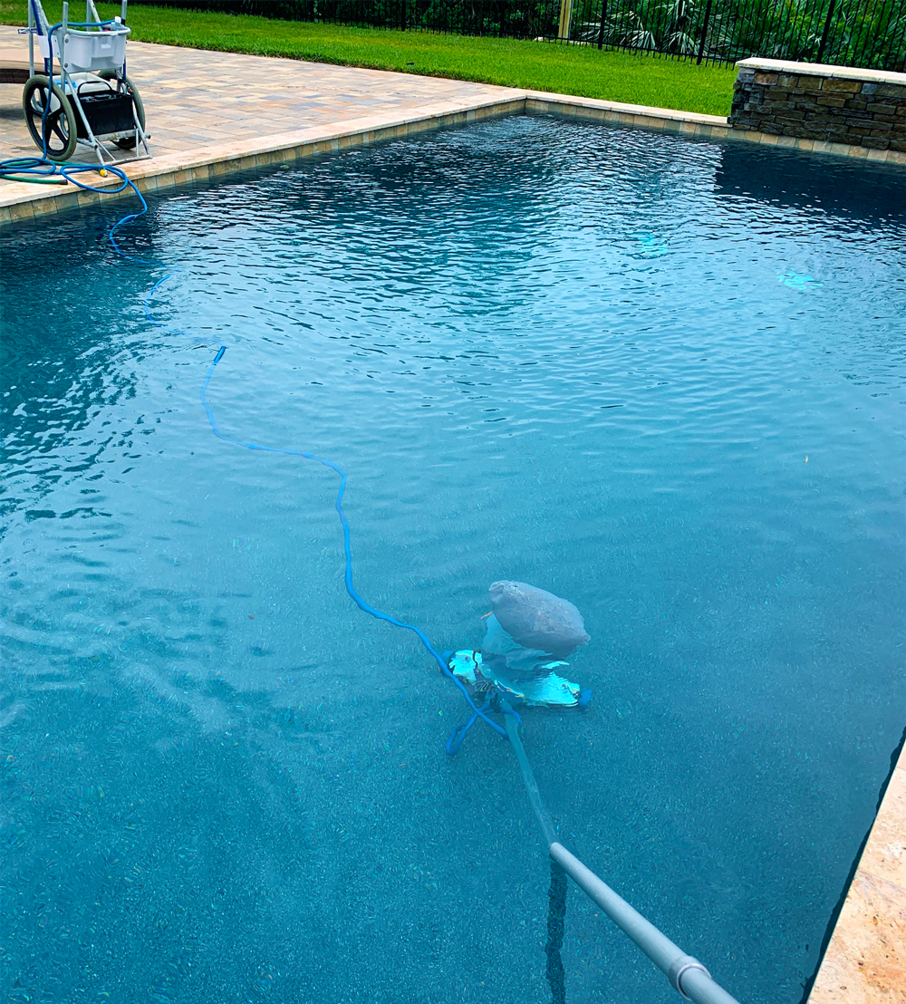 pool maintenance weekly cleaning and water balancing service
