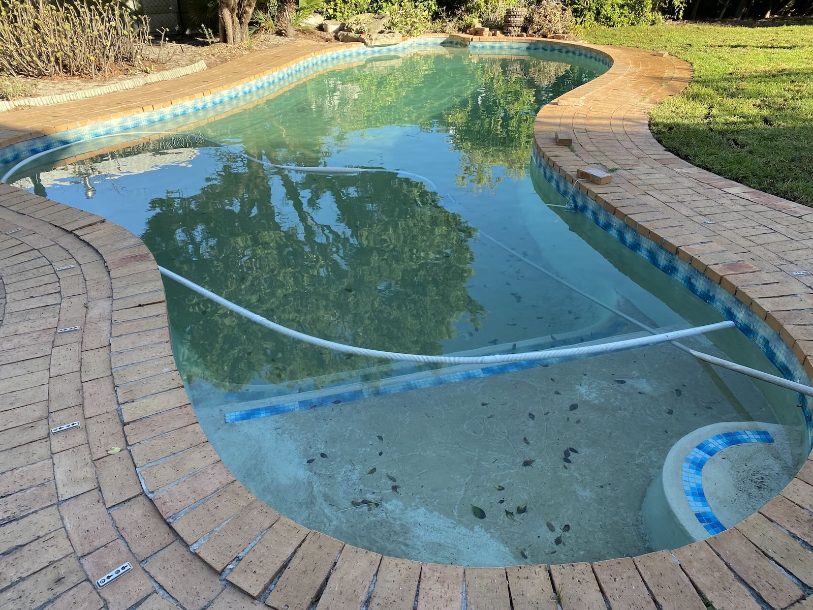 Before - Sandra's pool